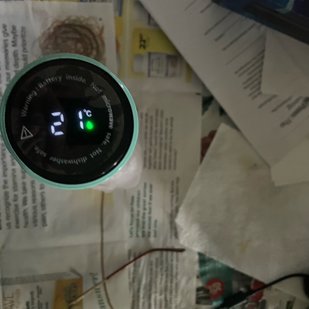 Digital Temperature Display Mug
